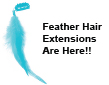 Feathers Hair Extensions Are Here!!